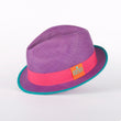 Load image into Gallery viewer, Purple Tang