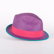 Load image into Gallery viewer, Purple Tang