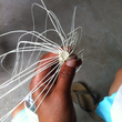 Load image into Gallery viewer, Montecristi Semi-Fino