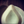 Load image into Gallery viewer, Montecristi Semi-Fino
